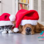 I pericoli del Natale per gli animali domestici: come proteggere i nostri amici a quattro zampe