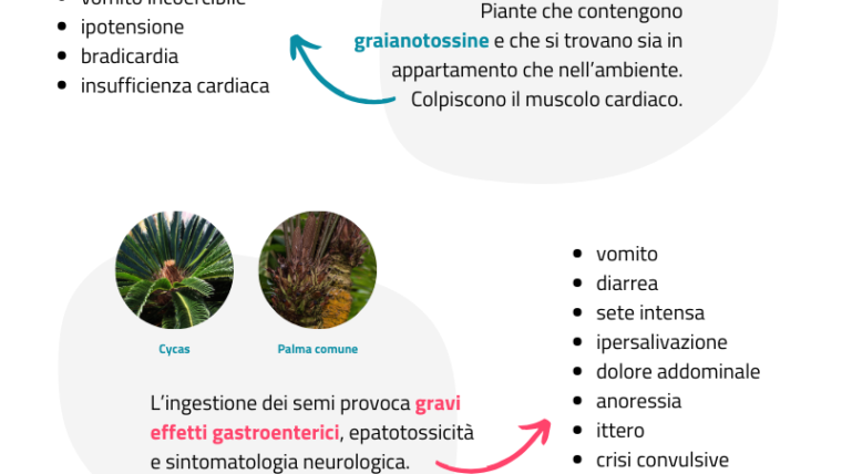 Piante Tossiche per Cani e Gatti: Attenzione in Casa e Giardino! 🌱🐾