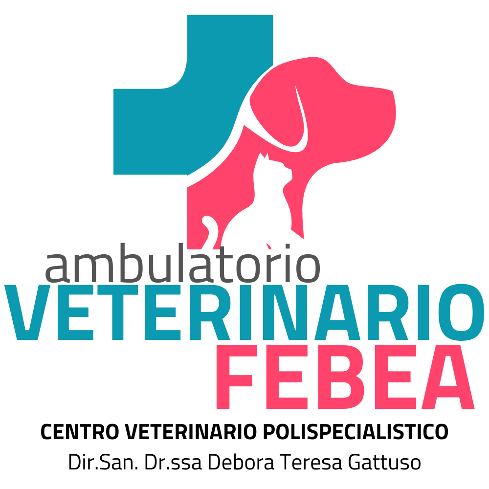 Ambulatorio Veterinario FEBEA